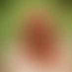 Sashaxx, Une femme, 36 ans, Florenville (2)